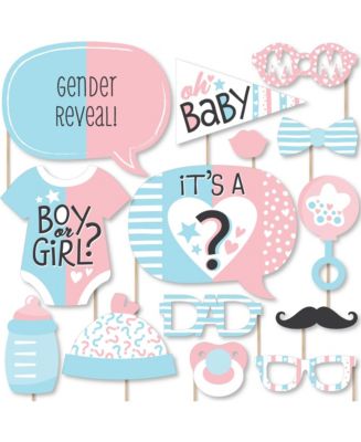 Big Dot of Happiness Baby Gender Reveal - Team Boy or Girl Party Photo ...