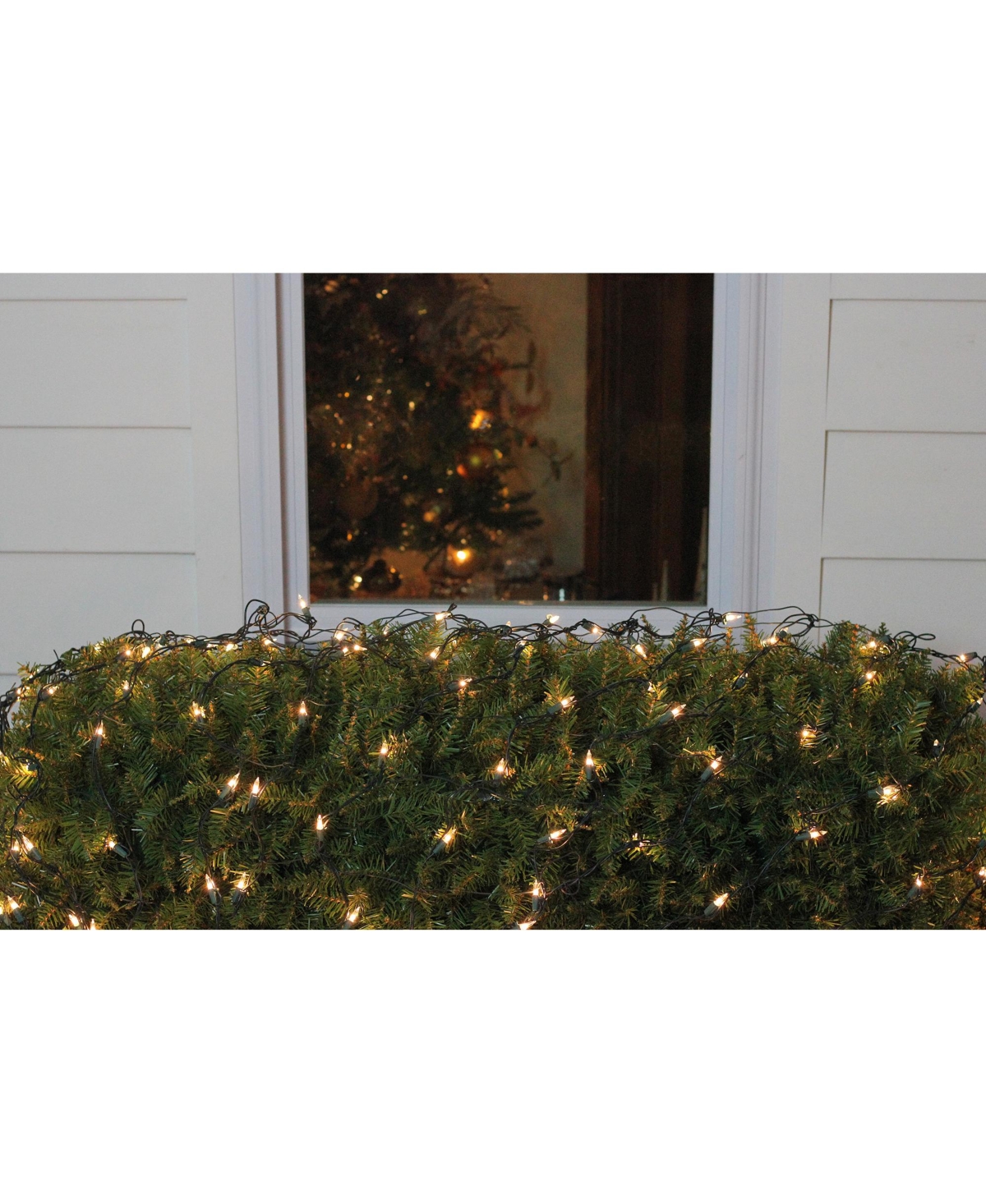 NorthlightMini Incandescent Christmas Net Lights With Wire - Clear