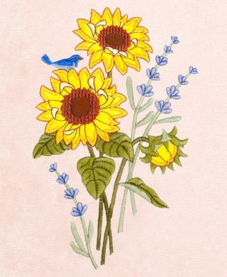 Turkish Cotton Girasol Embellished 2-Pc. Bath Towel Set