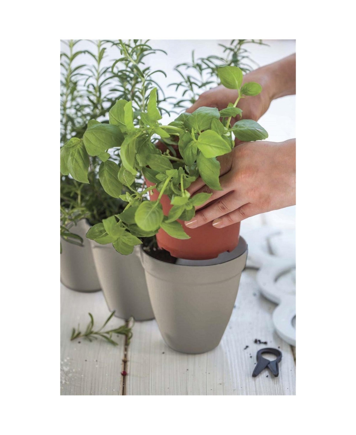 Keter 232744 Ivy Herbs In Outdoor Planter Flower Pot Taupe Inch