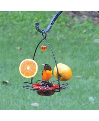 Flower Oriole Bird Feeder Small Orange