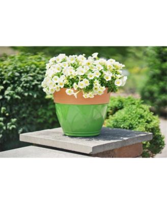 Colored Rim Large Plastic Planter Green 15 Inches
