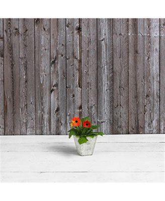 35080 Ella Square Planter Mint 8 inch