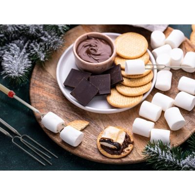 Long Marshmallow Roasting Sticks Extendable Design