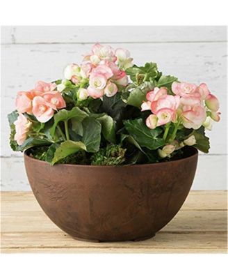 ArtStone Napa Bowl, Rust, 10 Inch