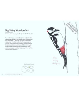 The Field Guide to Dumb Birds of the Whole Stupid World by Matt Kracht