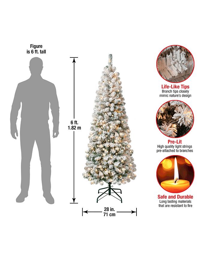 National Tree Company First Traditions 6' Acacia Medium Flocked Tree