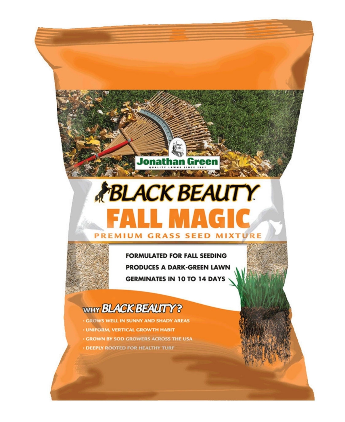 (#10768) Black Beauty Fall Magic Grass Seed, 7lb bag - Brown