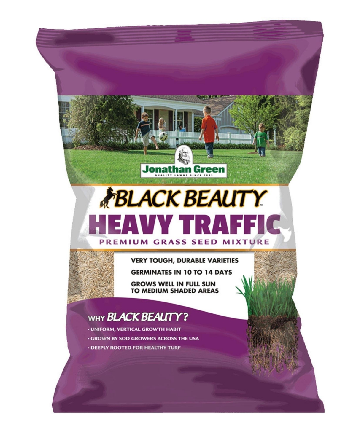 Black Beauty Heavy Traffic Lawn Fescue Grass Seed, 7lb - Brown