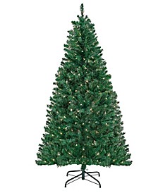 Acacia Pre-lit Christmas Tree with 300 Clear Incandescent and Multicolor Lights, Plug In, 6ft