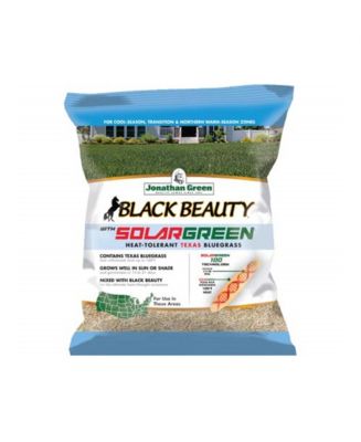 Jonathan Green Black Beauty Solar Green Texas Bluegrass Grass Seed, 3