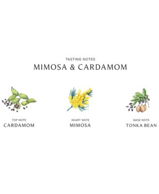 Mimosa & Cardamom Cologne, 1-oz.