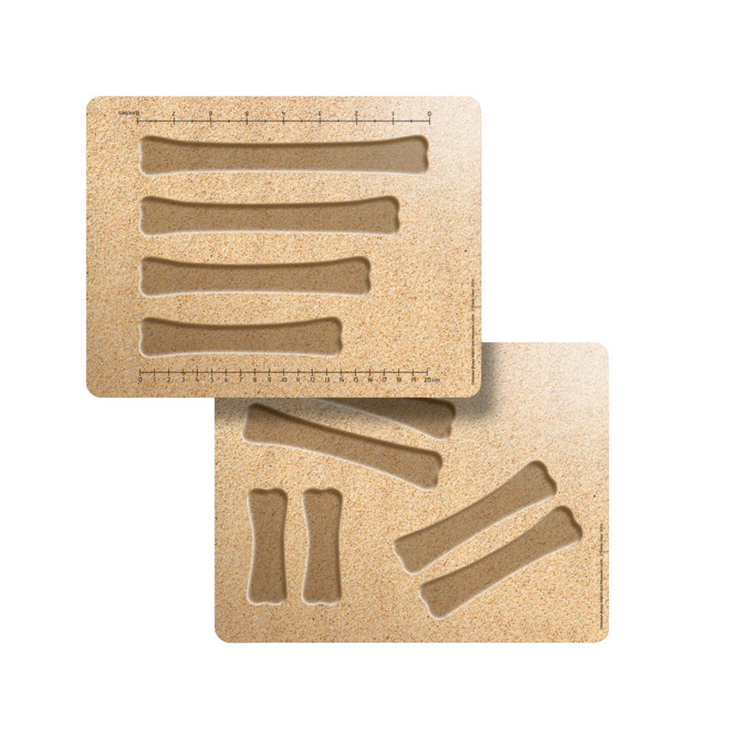Детские игрушки Yellow Door Dinosaur Bones Match and Measure Activity Cards, Ages 3+ — фото 2