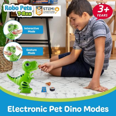 Robo Pets T-Rex Dinosaur Toy for Kids