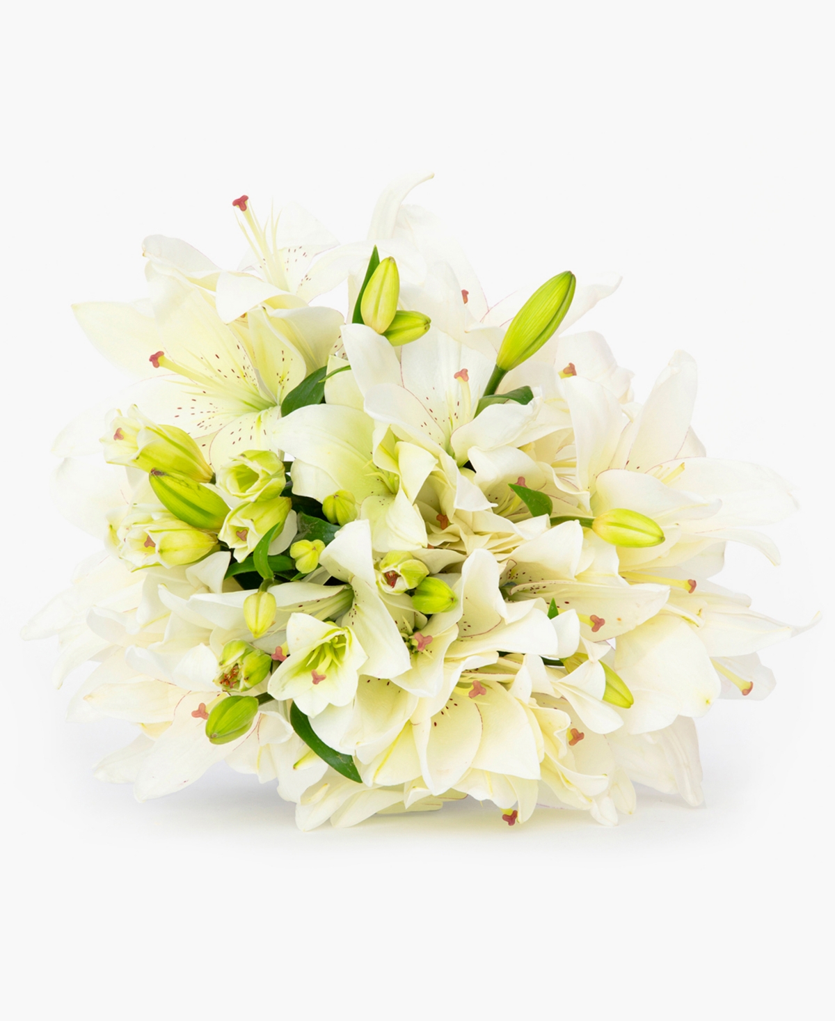 Casablanca White Lilies Fresh Flower Bouquet