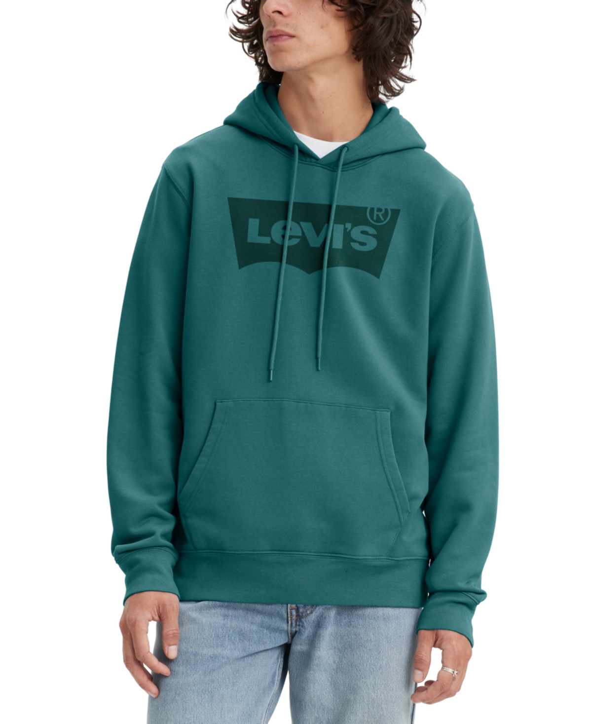 Levi's Men's Standard-fit Logo French Terry Hoodie In Green-blue Slate