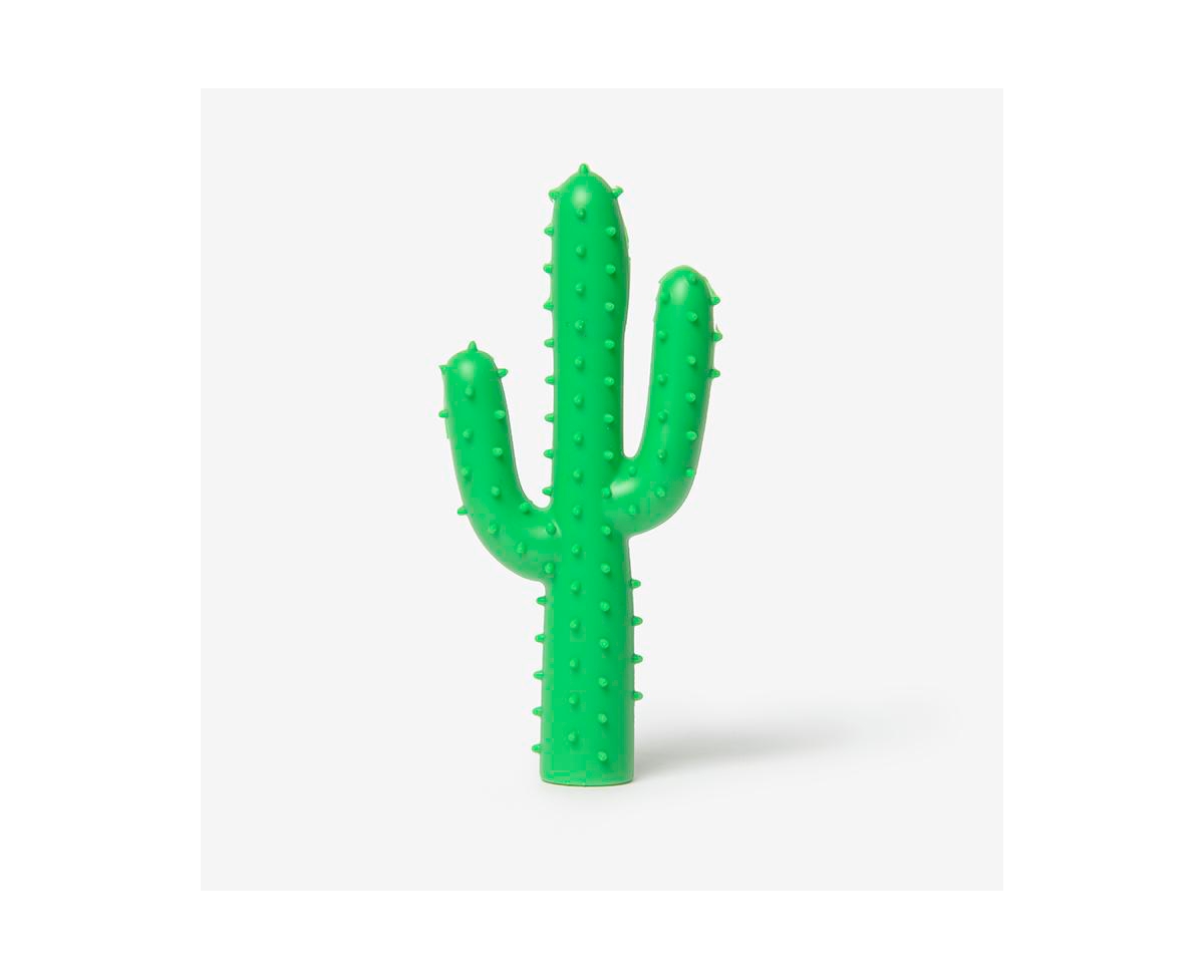 Dog Silly Succulent Toy Cactus - Green