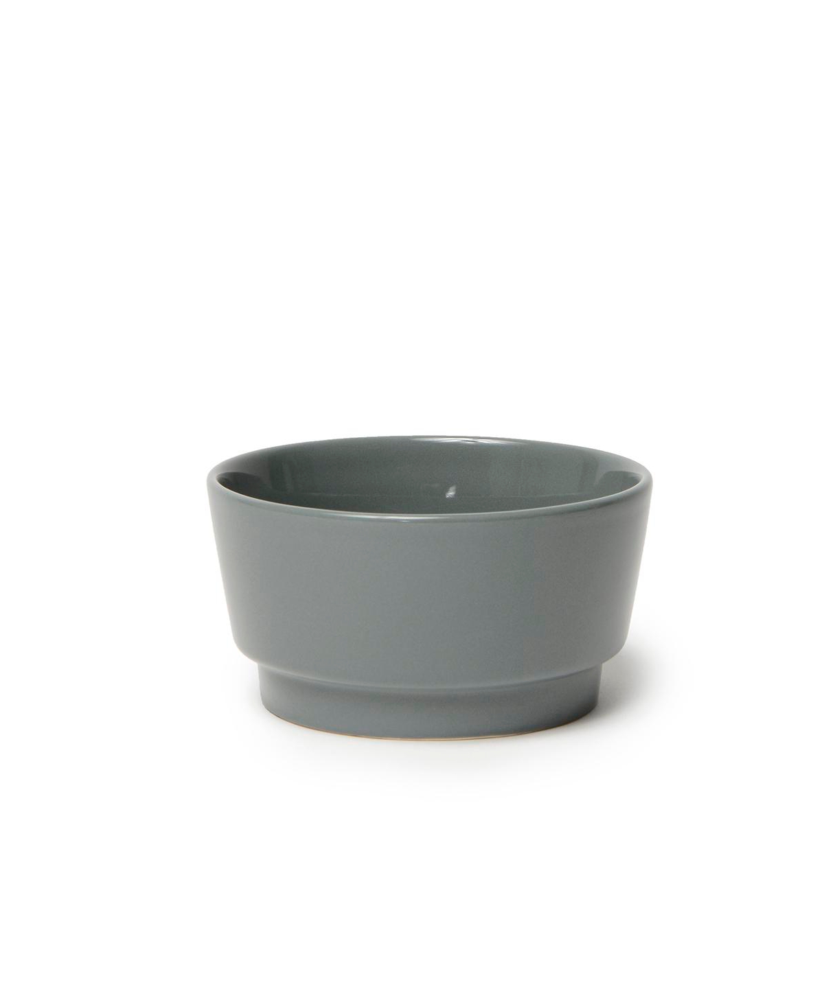 Dog Dipper Bowl Large Dolphin - Large - Dolphin