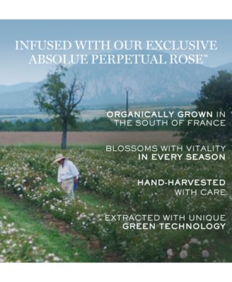 Absolue Revitalizing & Brightening Soft Cream With Grand Rose Extracts Refill, 2 oz.