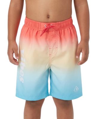 Toddler Boys Swim Trunks with Mesh Liner UPF 50+