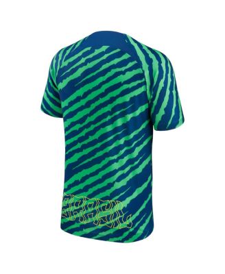 Nike Men's Blue, Green Brazil National Team 2022/23 Pre-Match Top