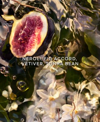 Aqua Allegoria Forte Nerolia Vetiver Eau de Parfum, 2.5 oz.