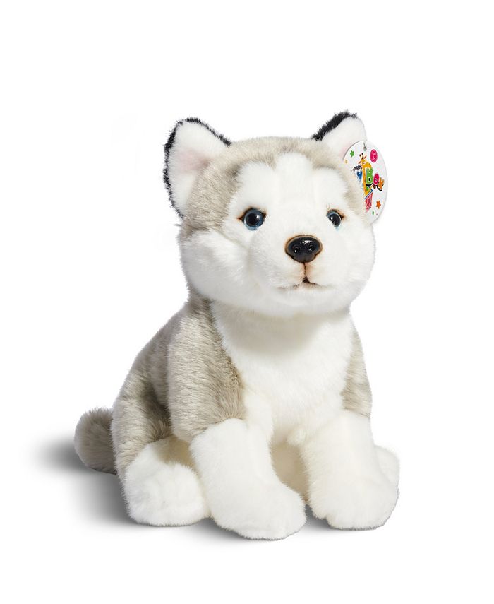 Geoffrey's Toy Box 10 Plush Puppy Floppy Husky, Created for Macy's