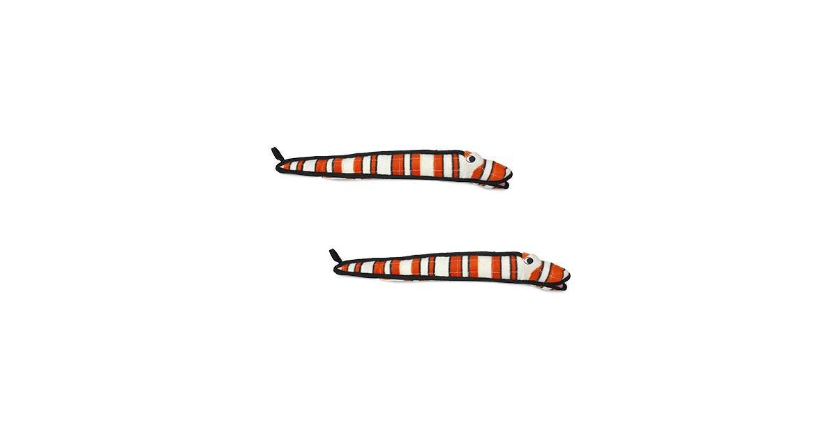 Ocean Creature Eel, 2-Pack Dog Toys - Medium Orange