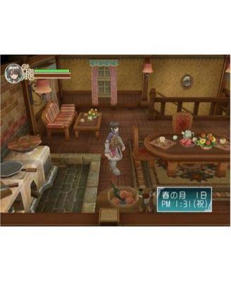 Rune Factory: Frontier - Nintendo Wii