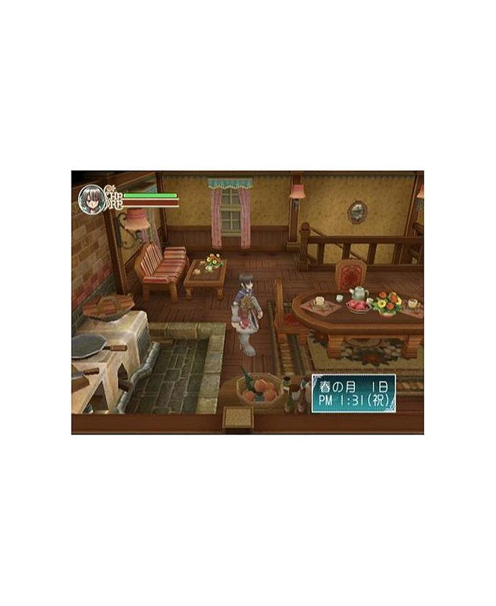 XSEED Games Rune Factory Frontier Nintendo Wii Macy's