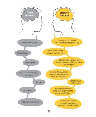 You are Awesome- Find Your Confidence and Dare to be Brilliant at (Almost) Anything by Matthew Syed
