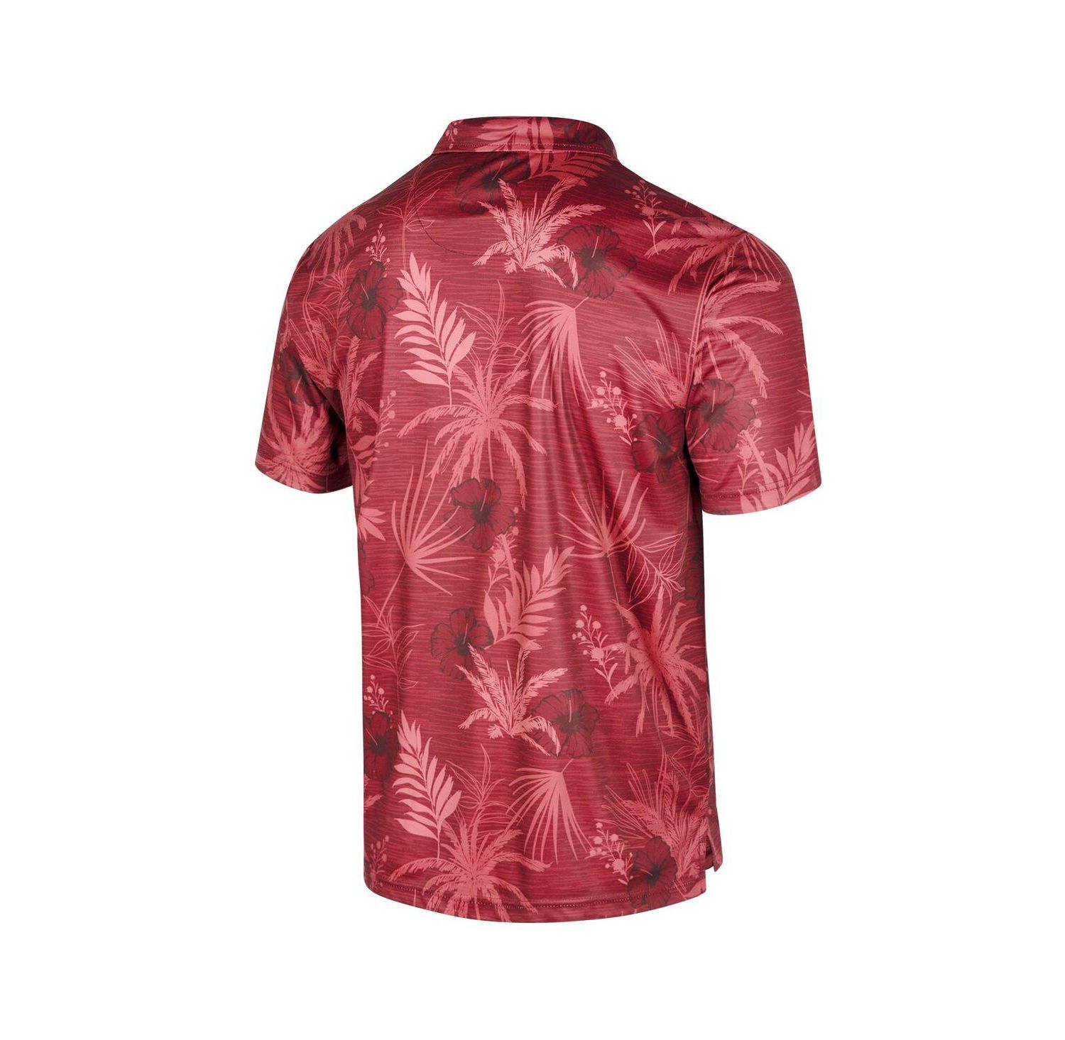 Men's Cardinal Arkansas Razorbacks Palms Team Polo Shirt