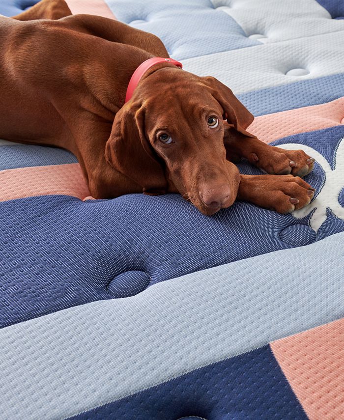 Stearns & Foster Reserve Duet Mattress Set Queen Split Macy's