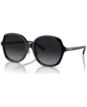 Coach daniella shop polarized sunglasses