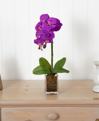 24" Orchid Phalaenopsis Artificial Arrangement in Vase