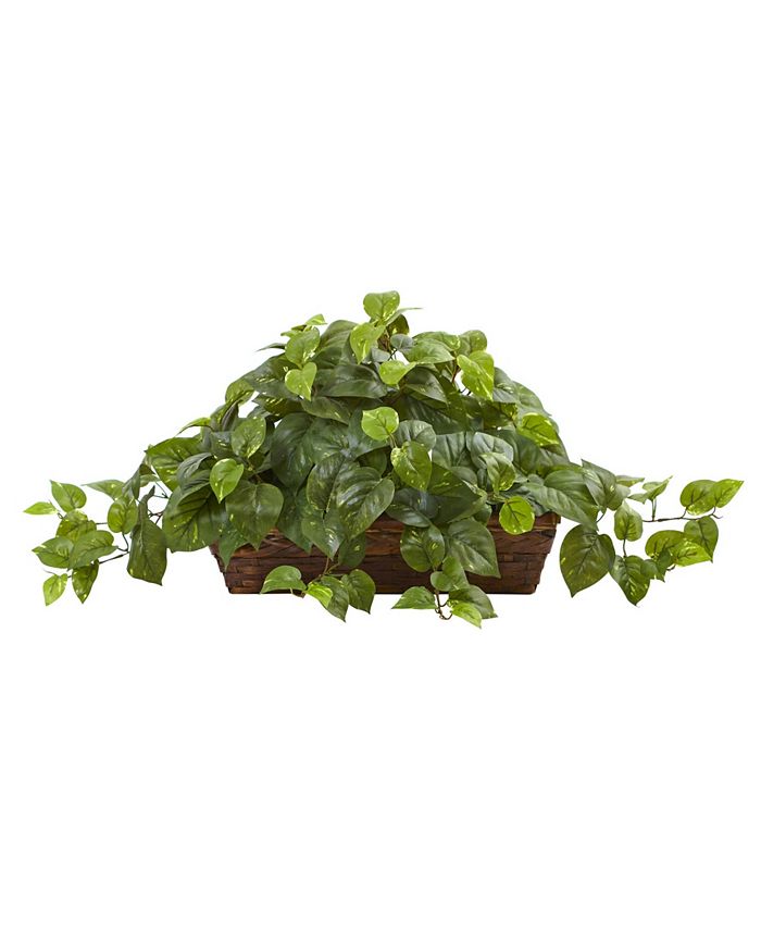 Nearly Natural - Natural Pothos Artificial Plant in Ledge Basket