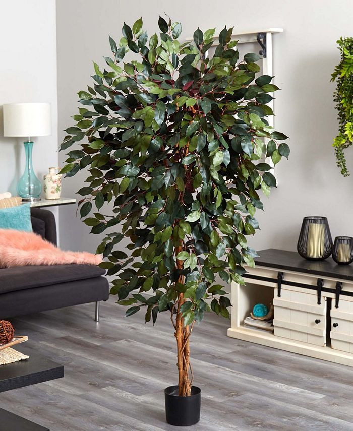 Nearly Natural 6’ Artificial Capensia Ficus Tree - Macy's