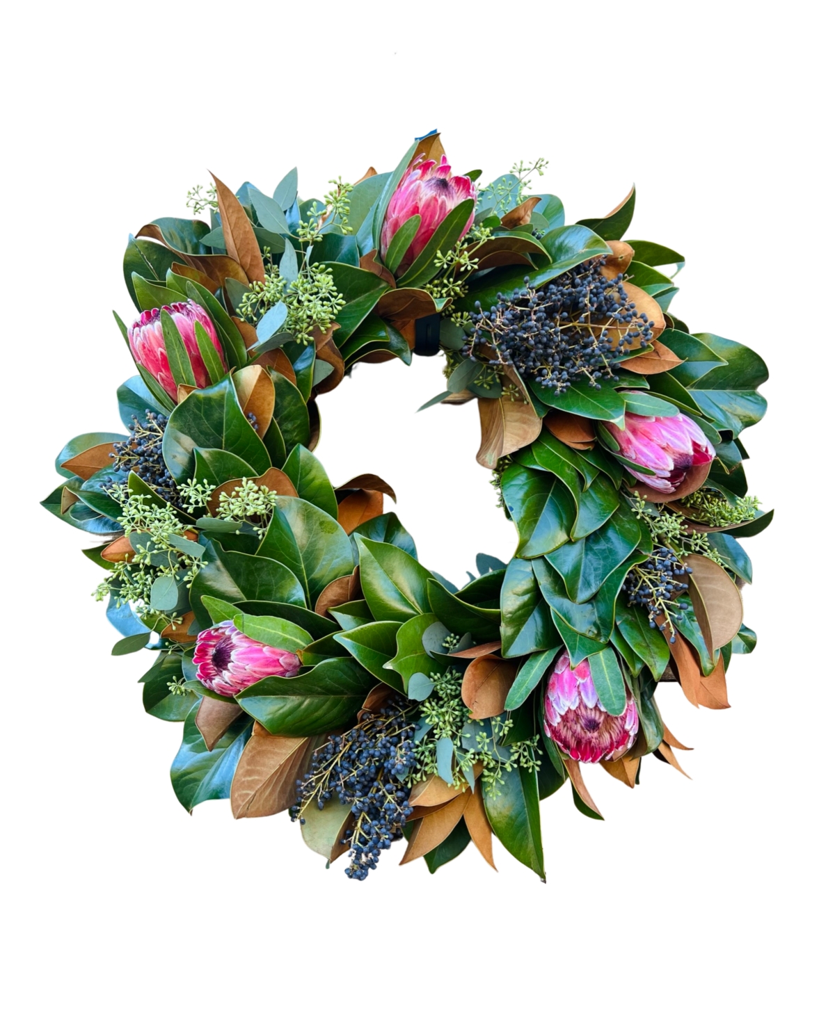 Fresh Real Magnolia and Pink Ice Protea Flower Spring Wreath