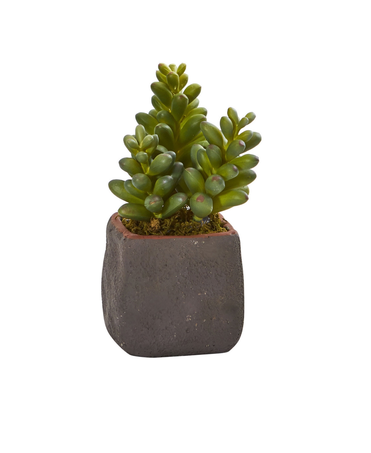 Shop Nearly Natural Trio Of Artificial Succulent Plants, Set Of 3 In Green,brown
