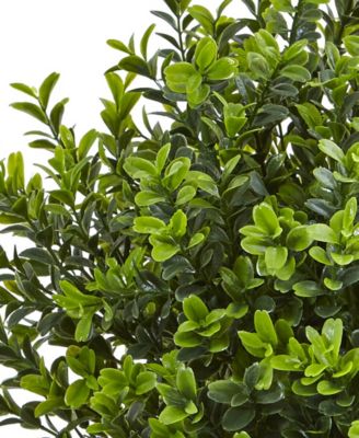 Boxwood Evergreen Indoor/Outdoor Artificial Plant in White Vase