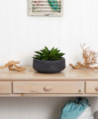 Large Succulent Artificial Plant in Decorative Bowl