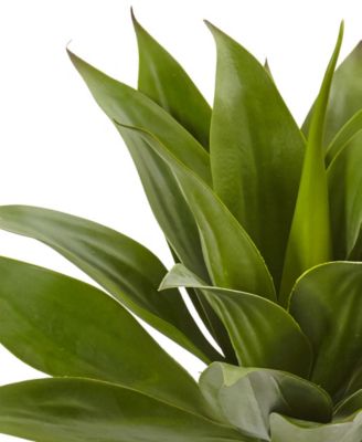 32" Agave Plant w/ Stem