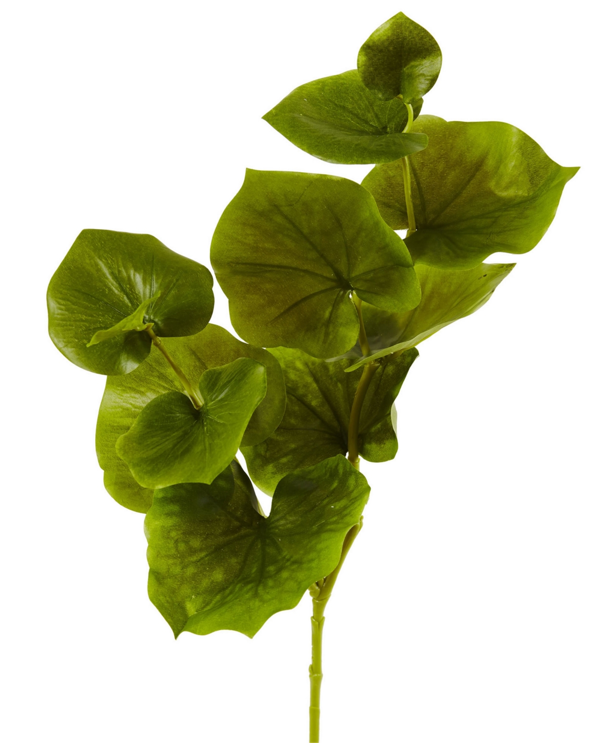 Nearly Natural 29-in. Lotus Artificial Leaf, Set Of 12 In Green