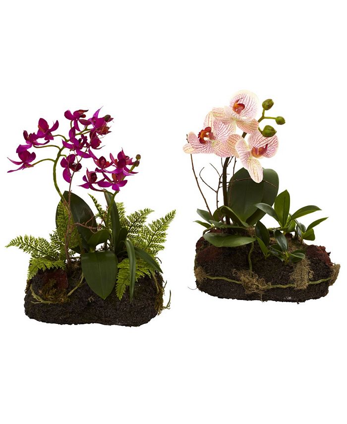 Nearly Natural - 2-Pc. Orchid Island Artificial Arrangement Set