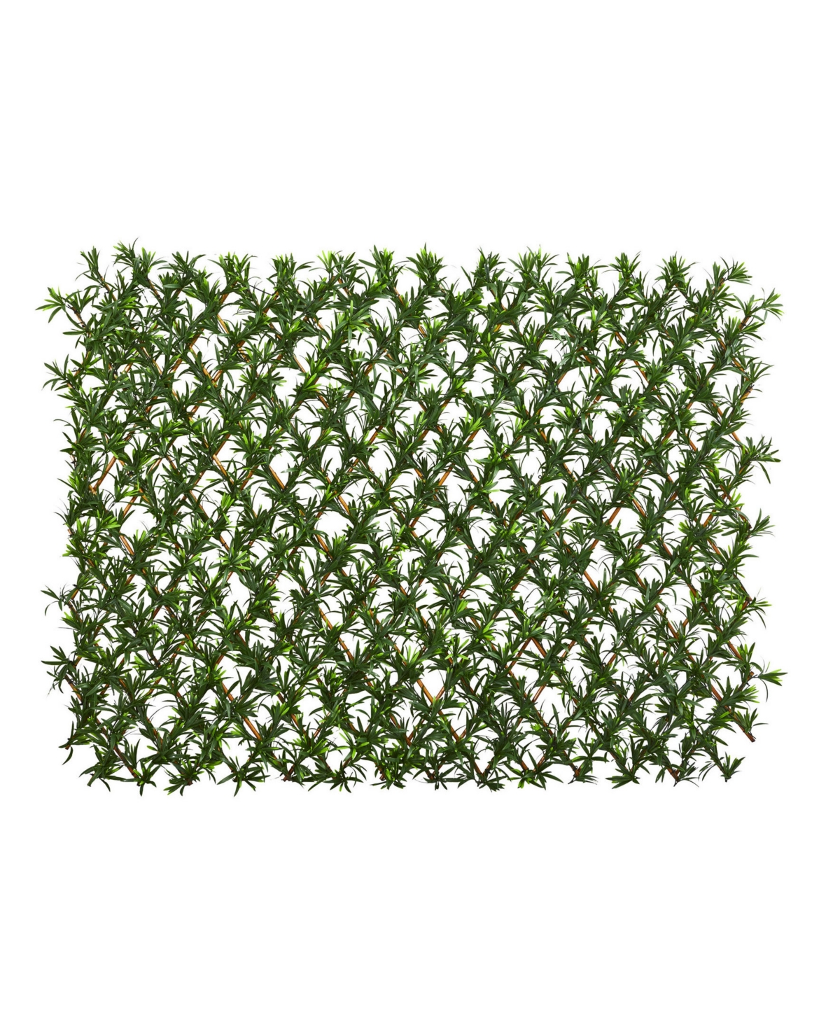 39" Podocarpus Expandable, Uv Resistant & Waterproof Fence - Green