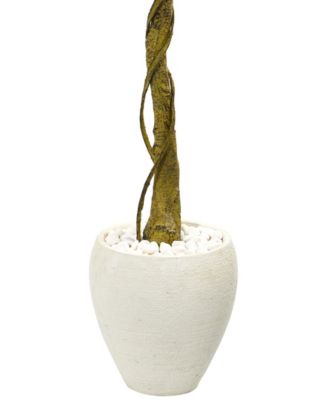 5.5' Ficus Artificial Tree in White Oval Planter UV Resistant