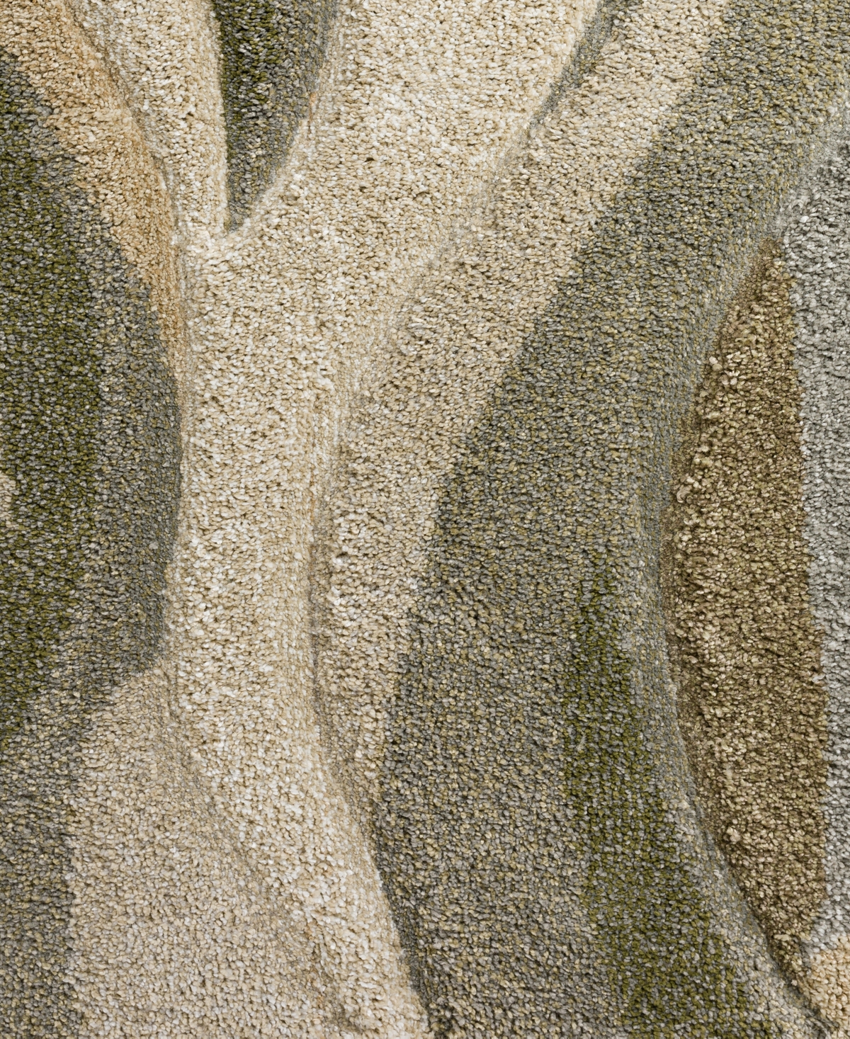 Dalyn Carmona CO5 3'1" x 5' Area Rug