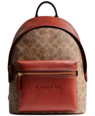 24476897_fpx.tif?$filterlrg$&