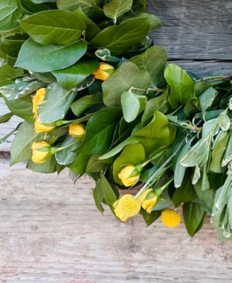 Fresh Real Yellow Rose and Salal Spring Wreath