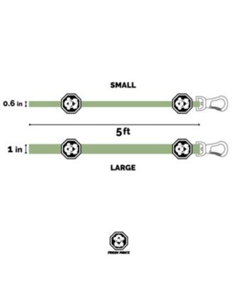 St. Louis Cardinals Leash